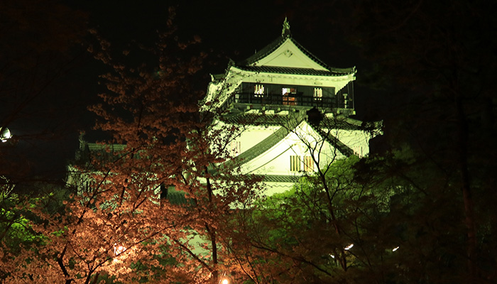 ライトアップされた岐阜城